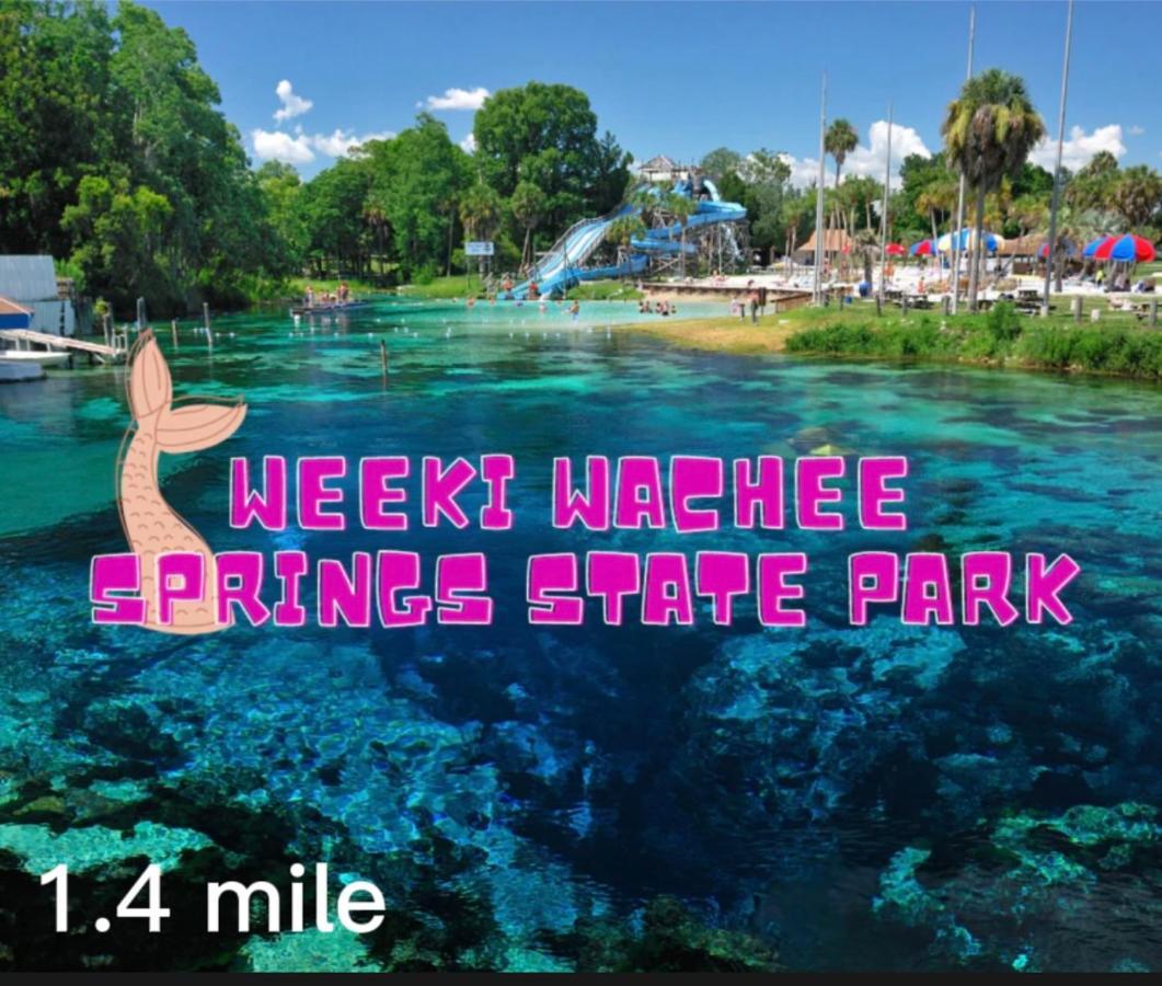 Villa Bonne Nuit Weeki Wachee Exterior foto